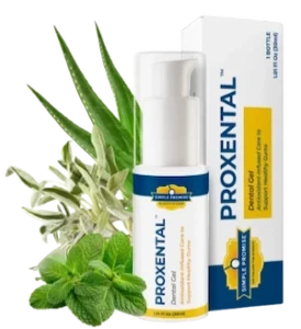 ProXental-Simple-Promise-Reviews