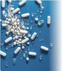 4 Strains of Probiotics