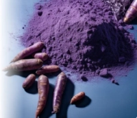Purple Carrot Powder 